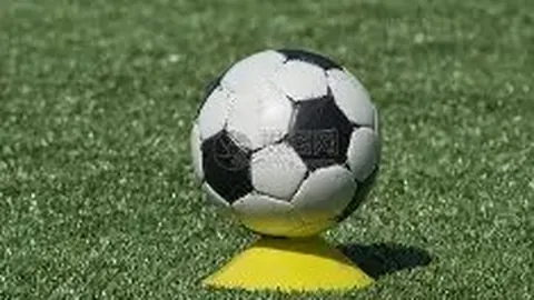 抖音账号张同学背后团队揭秘：究竟是否存在？