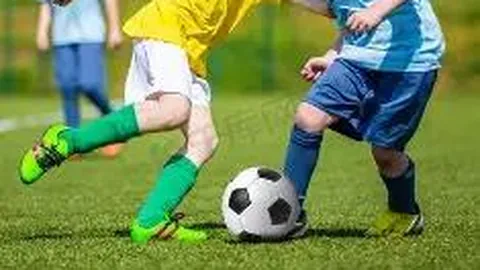 大发彩票 资讯 093440 5go